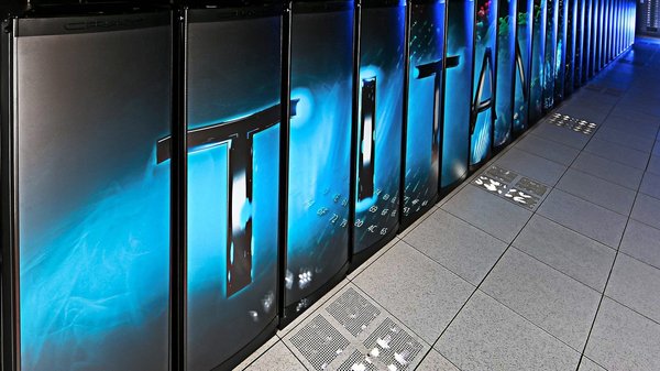 Comment les rats abîment les équipements informatiques ?